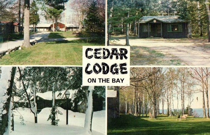 Fergusons Cedar Lodge - Vintage Postcard
